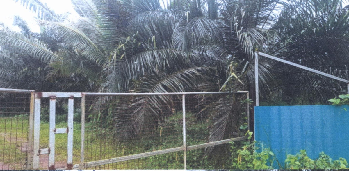 Residential land/lot Phatthalung Pa Bon Pa Bon 1870000