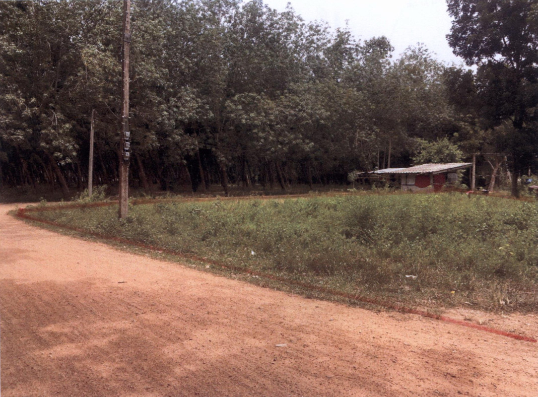 Residential land/lot Phatthalung Pa Bon Wang Mai 59150