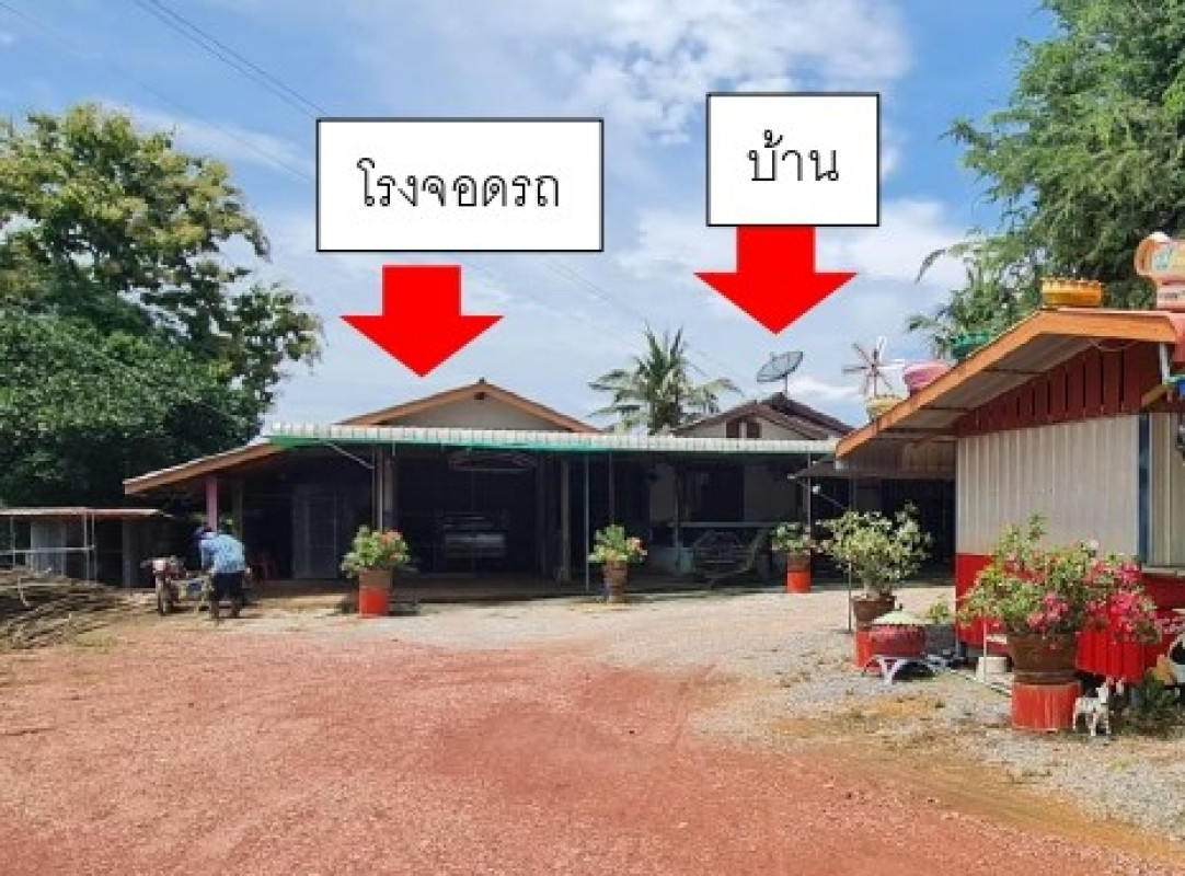 บ้านเดี่ยว สุโขทัย ศรีนคร คลองมะพลับ 2347360