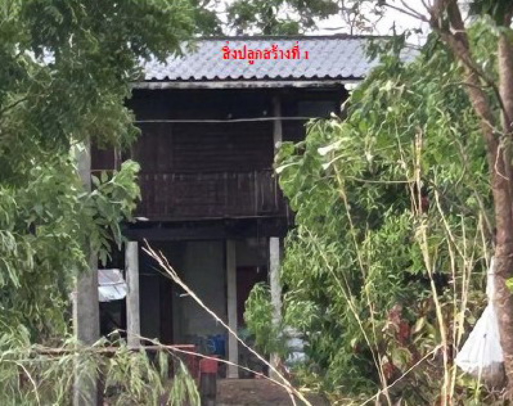 บ้านเดี่ยว พิจิตร บางมูลนาก วังสำโรง 399256