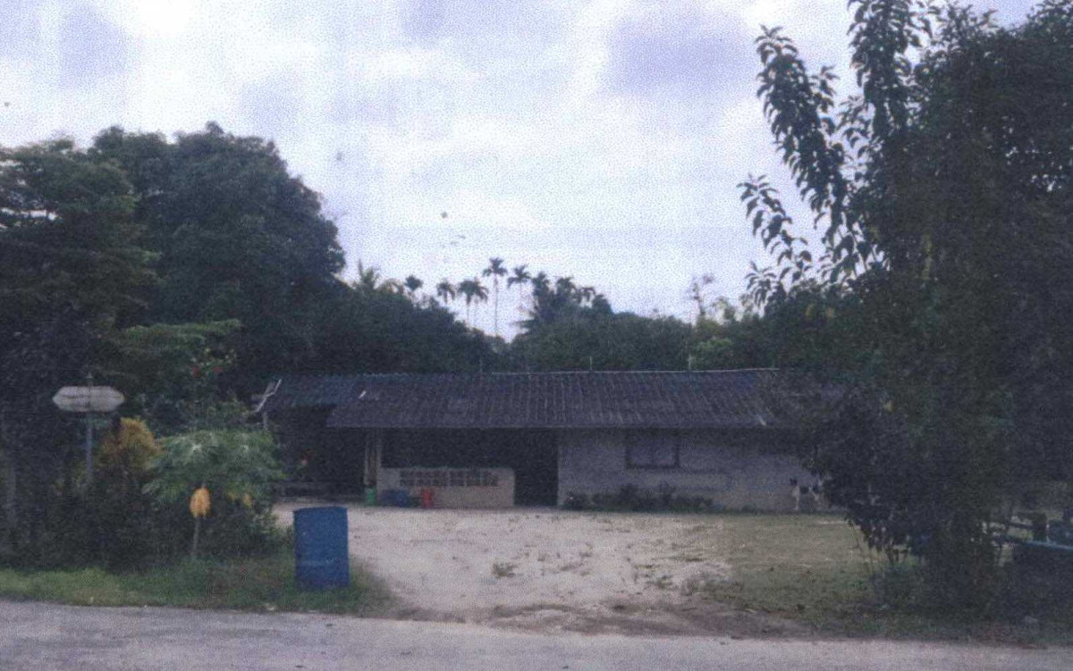 บ้านเดี่ยว สุราษฎร์ธานี บ้านนาสาร ทุ่งเตา 1365744