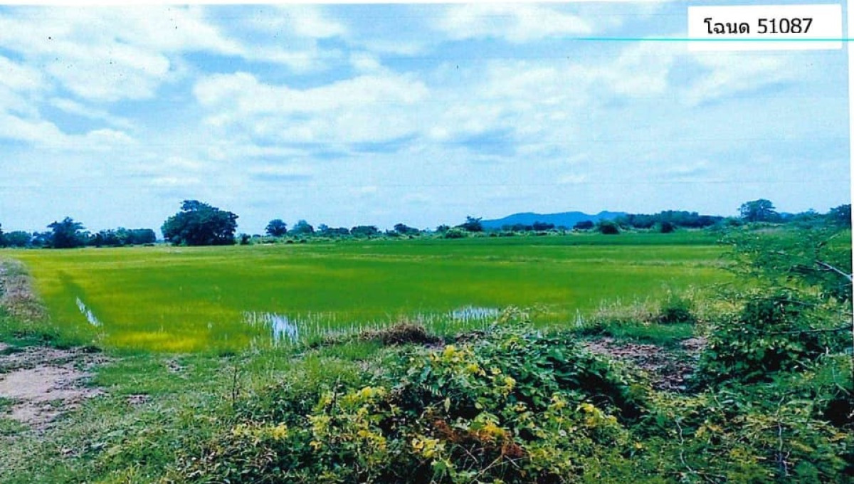 ที่ดินเปล่า สุโขทัย สวรรคโลก หนองกลับ 203060