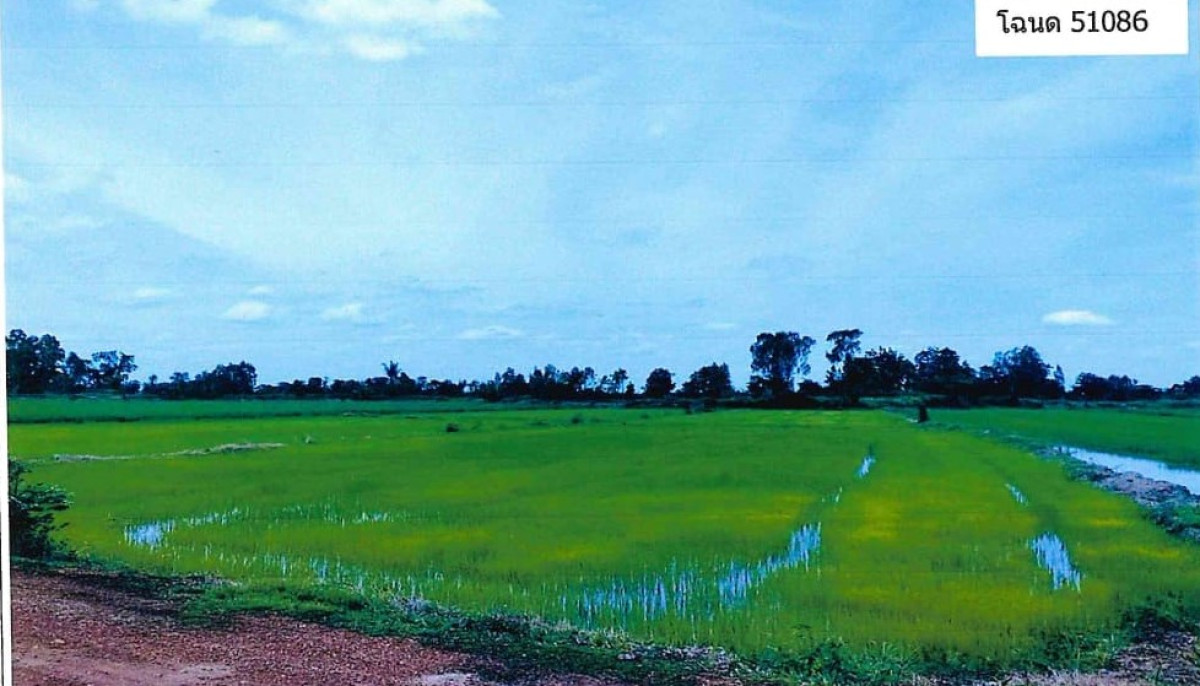ที่ดินเปล่า สุโขทัย สวรรคโลก หนองกลับ 118800