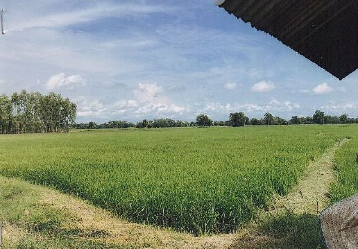 ที่ดินเปล่า สุโขทัย กงไกรลาศ ไกรกลาง 345800