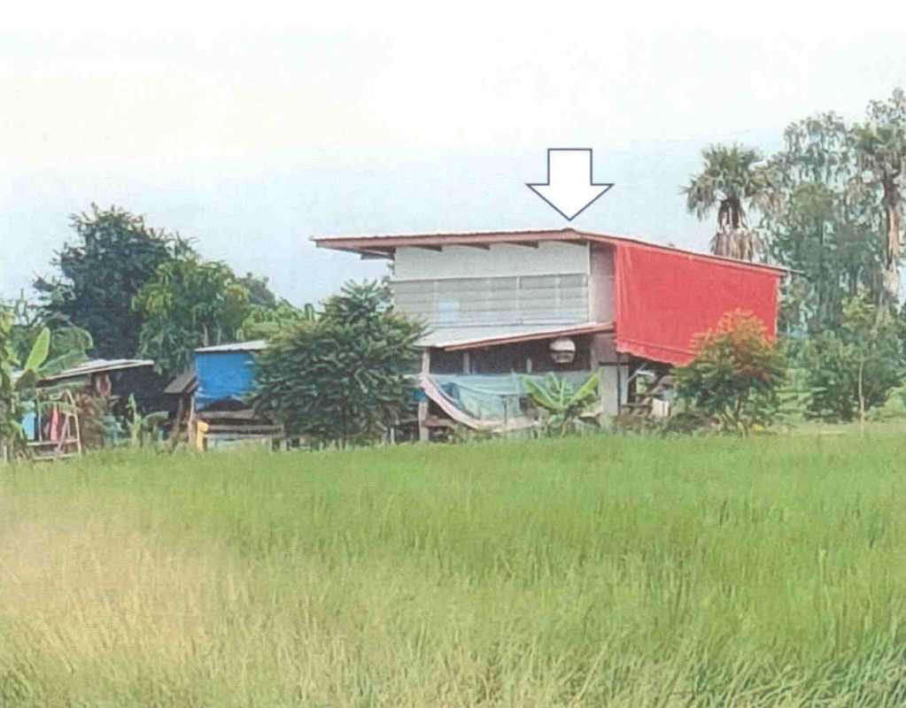 บ้านเดี่ยว นครราชสีมา คง ตาจั่น 1090240