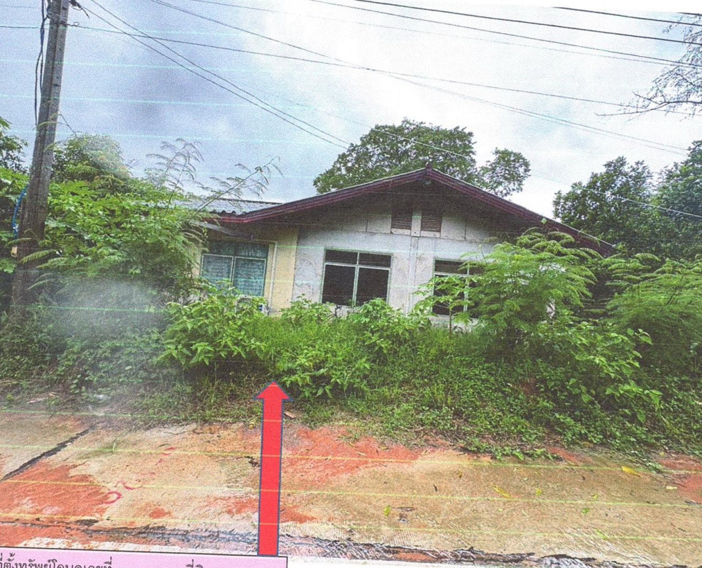 บ้านเดี่ยว ขอนแก่น ภูเวียง สงเปือย 493590