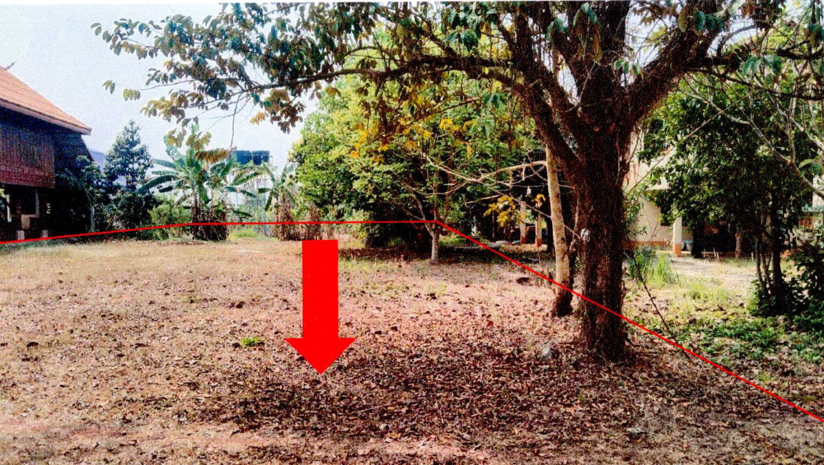 ที่ดินเปล่า บึงกาฬ โซ่พิสัย หนองพันทา 523500
