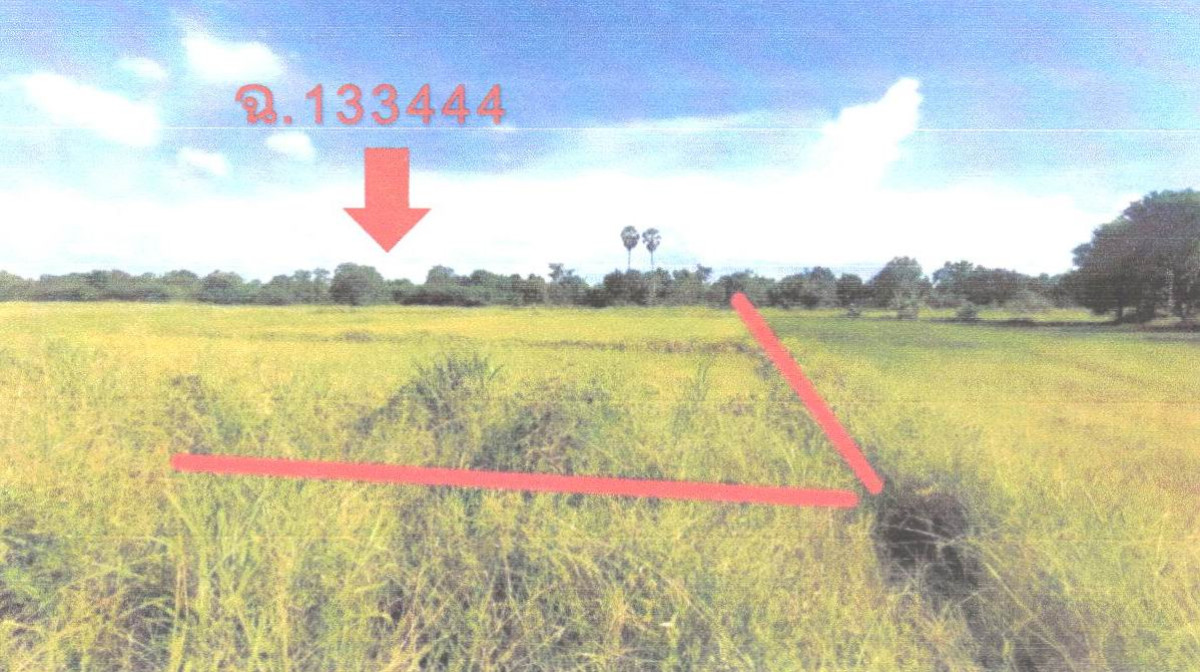 ที่ดินเปล่า ชัยภูมิ เมืองชัยภูมิ นาฝาย 259500