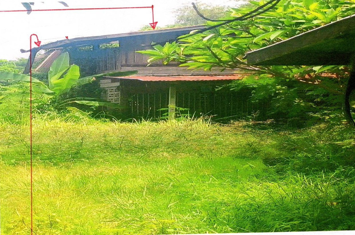 บ้านเดี่ยว ขอนแก่น ชุมแพ หนองไผ่ 586800