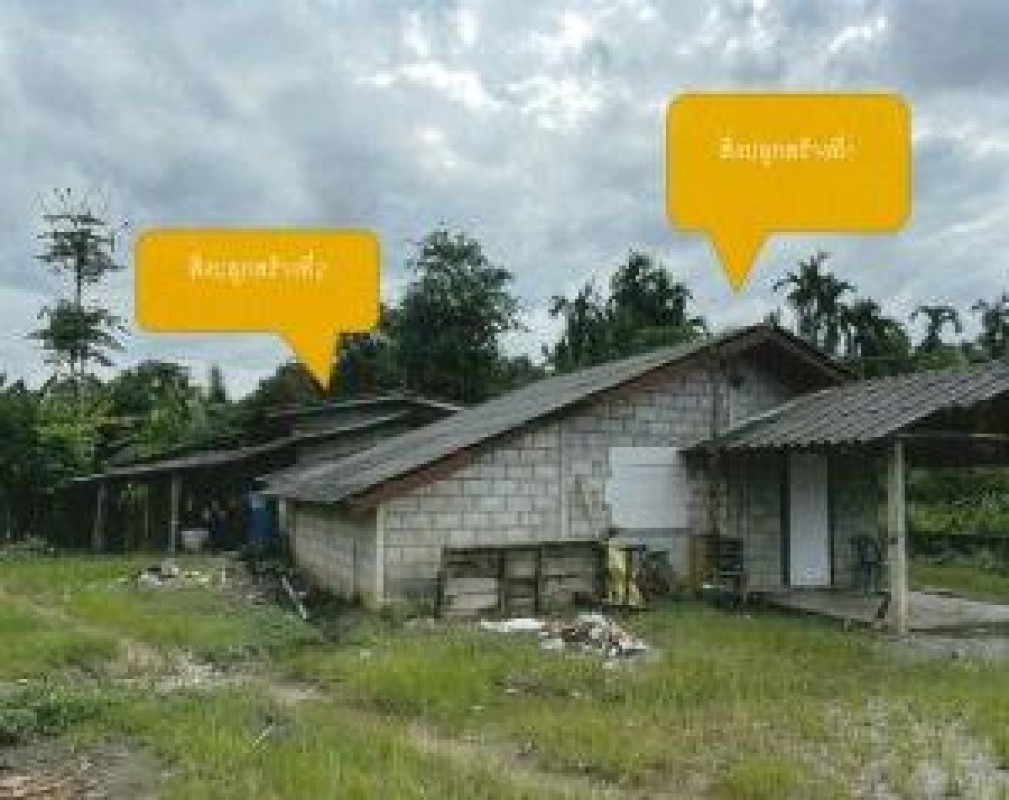 บ้านเดี่ยว จันทบุรี เขาคิชฌกูฏ คลองพลู 746370