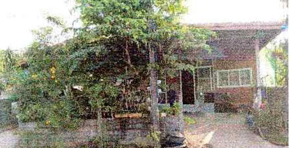 บ้านเดี่ยว บึงกาฬ บุ่งคล้า บุ่งคล้า 485446