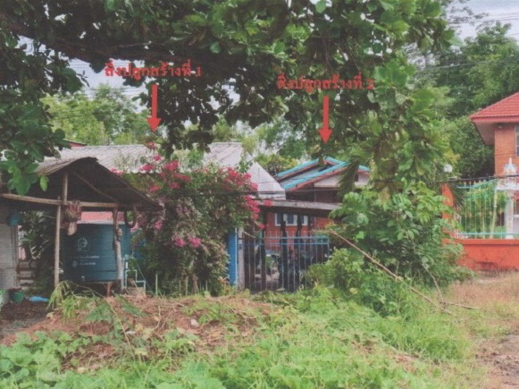 บ้านเดี่ยว พิจิตร บางมูลนาก ภูมิ 514280