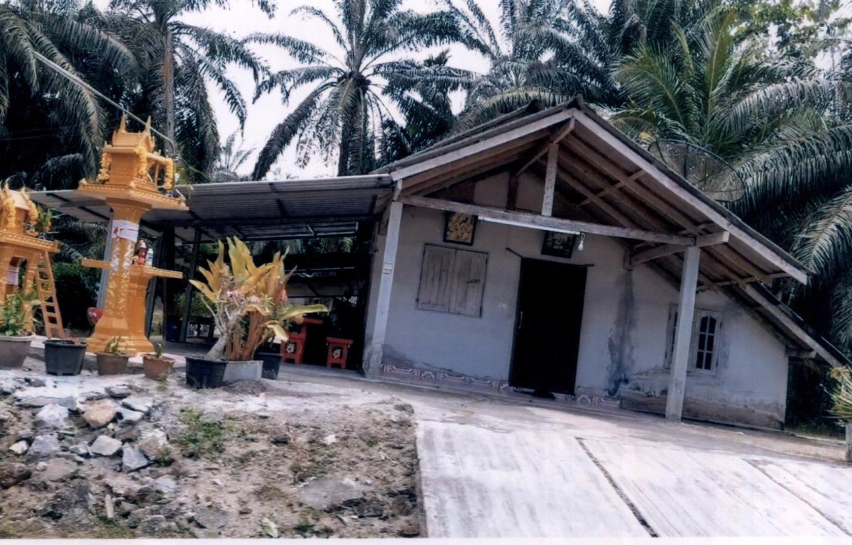 บ้านเดี่ยว สุราษฎร์ธานี พระแสง สินปุน 891940