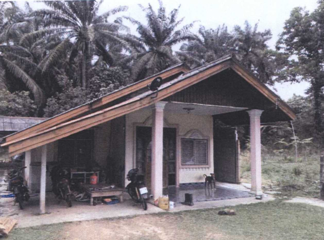 บ้านเดี่ยว สุราษฎร์ธานี ชัยบุรี ไทรทอง 789675
