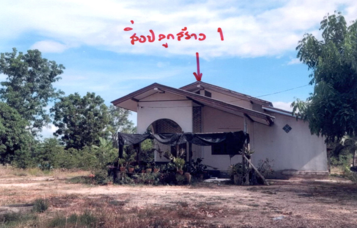 บ้านเดี่ยว พิษณุโลก บางระกำ นิคมพัฒนา 1011200