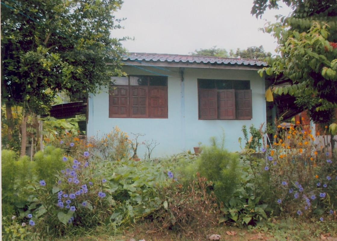 บ้านเดี่ยว นครราชสีมา ชุมพวง ท่าลาด 324590
