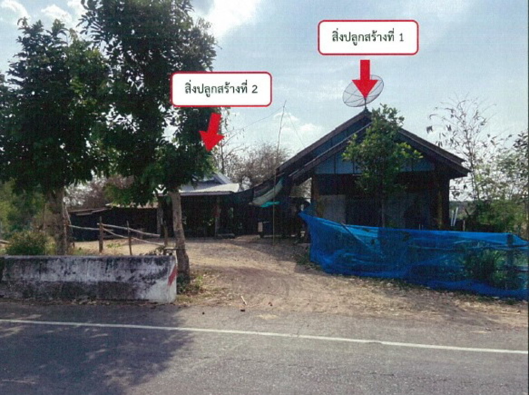 บ้านเดี่ยว บุรีรัมย์ บ้านด่าน วังเหนือ 1874130