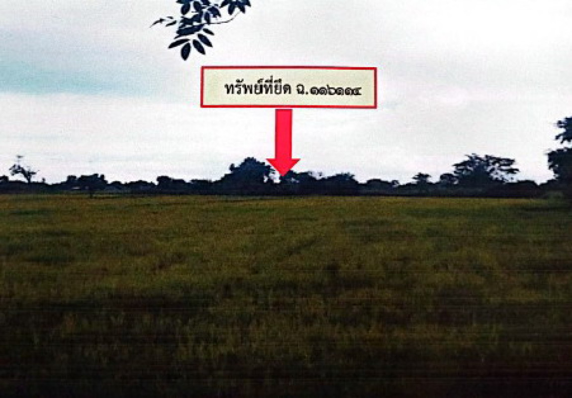 ที่ดินเปล่า บุรีรัมย์ เมืองบุรีรัมย์ บ้านยาง 540800