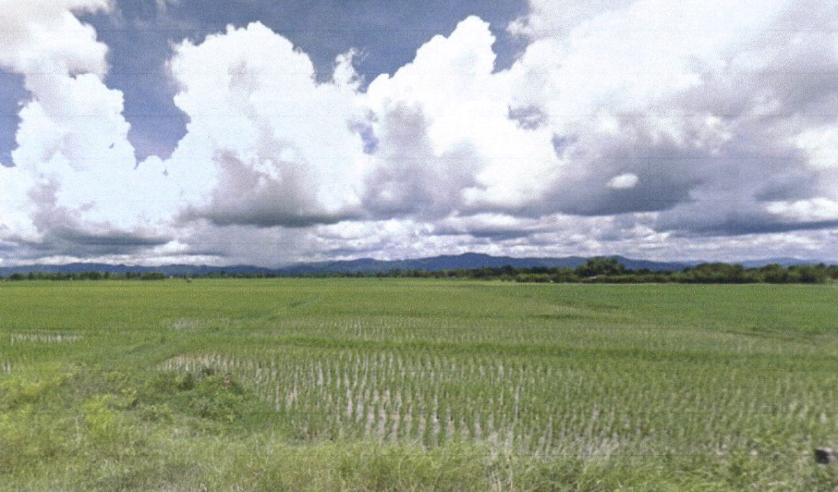 ที่ดินเปล่า แพร่ เมืองแพร่ ทุ่งโฮ้ง 218400