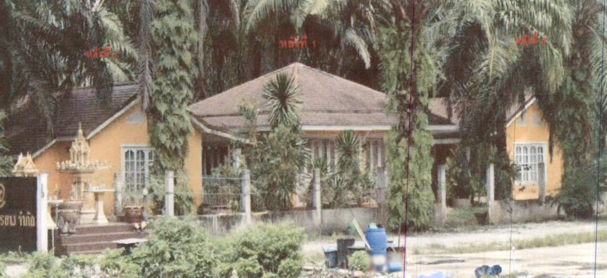 บ้านเดี่ยว สุราษฎร์ธานี พุนพิน บางมะเดื่อ 4127144