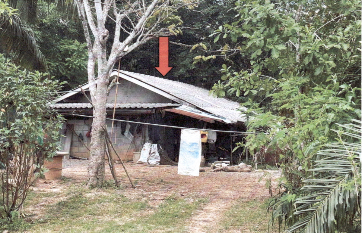 บ้านเดี่ยว พัทลุง ควนขนุน แหลมโตนด 616640
