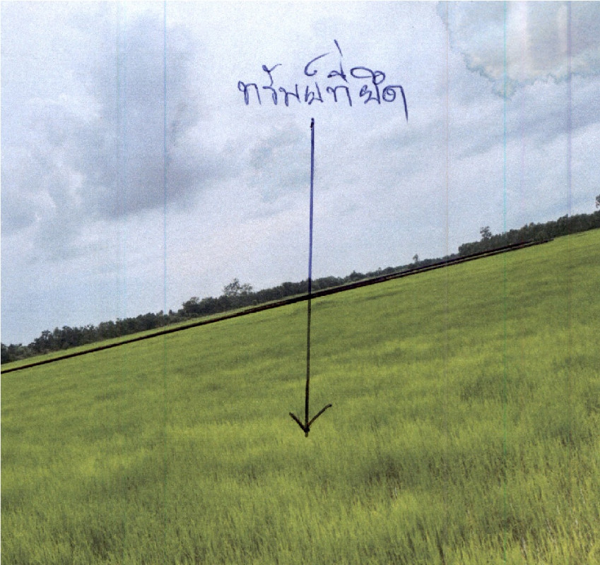 ที่ดินเปล่า นครราชสีมา พิมาย ดงใหญ่ 356400