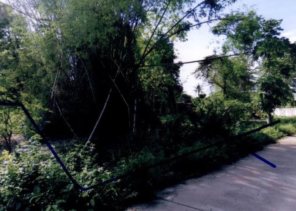 ที่ดินเปล่า สุโขทัย ศรีสำโรง บ้านซ่าน 66700