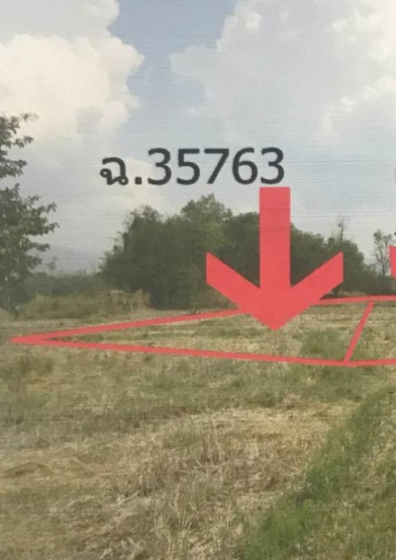 ที่ดินเปล่า พิษณุโลก นครไทย นาบัว 24900