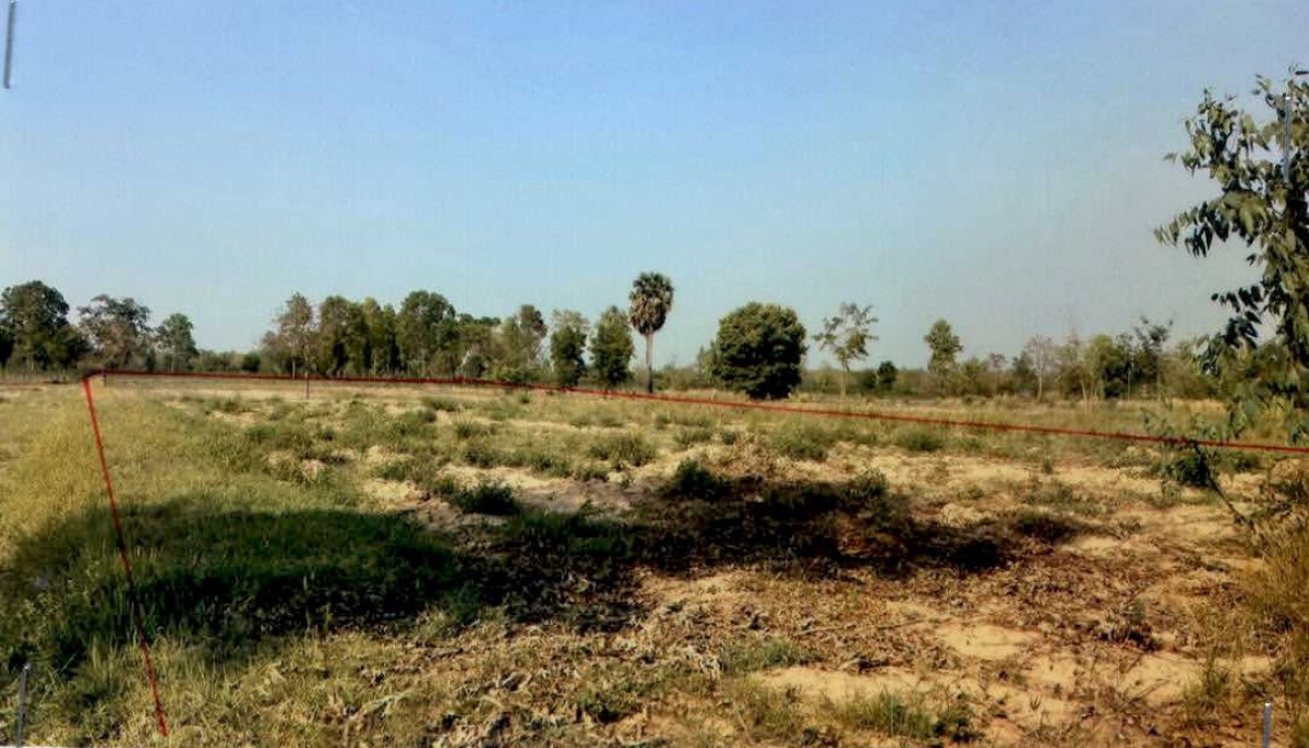Residential land/lot Buri Ram Nang Rong Kan Lueang 247600