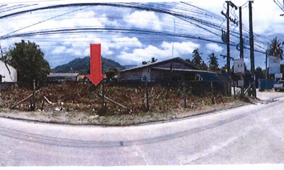 ที่ดินเปล่า สุราษฎร์ธานี เกาะสมุย อ่างทอง 1652000