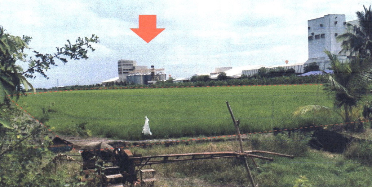 ที่ดินเปล่า ปทุมธานี ลาดหลุมแก้ว หน้าไม้ 2325000