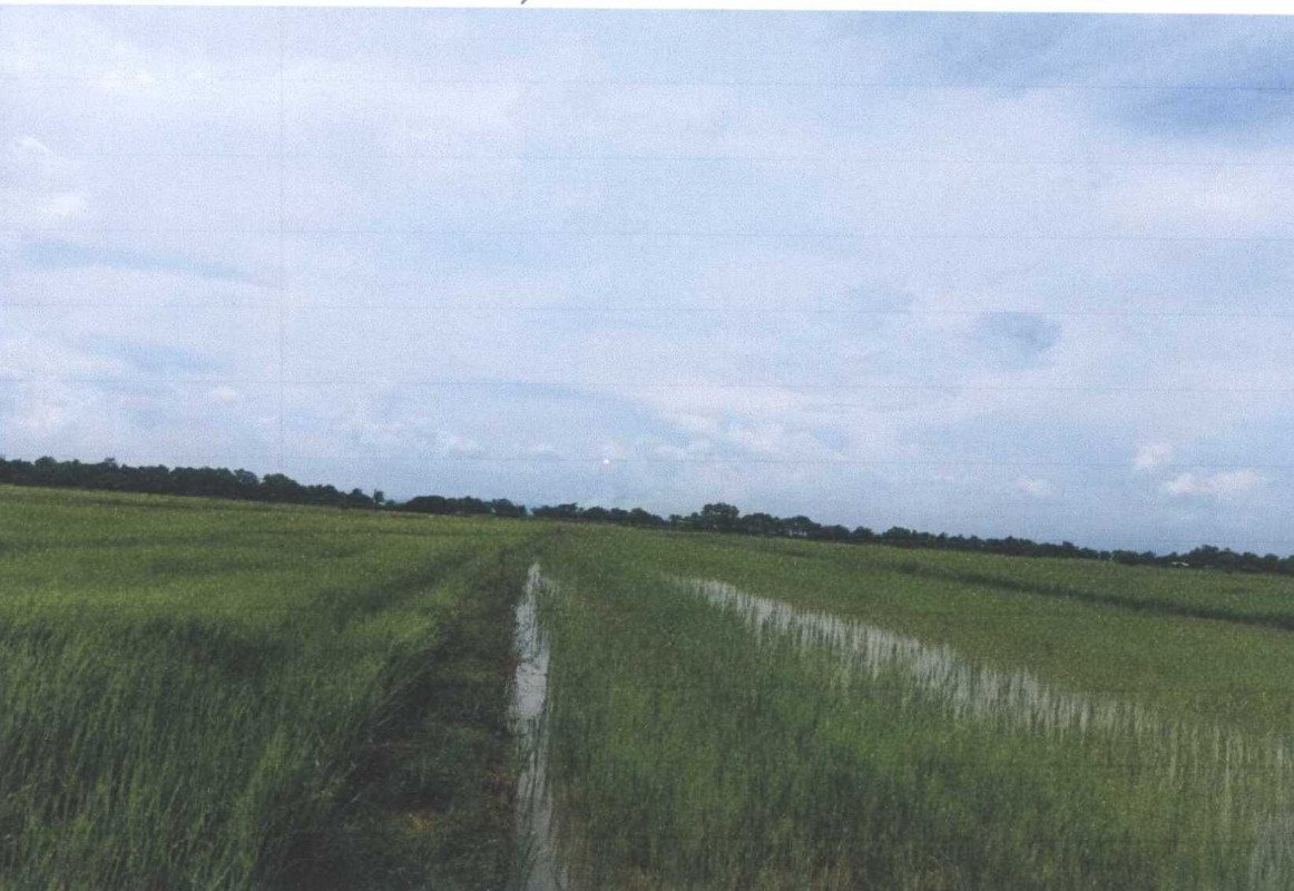 ที่ดินเปล่า อุตรดิตถ์ เมืองอุตรดิตถ์ หาดกรวด 54150