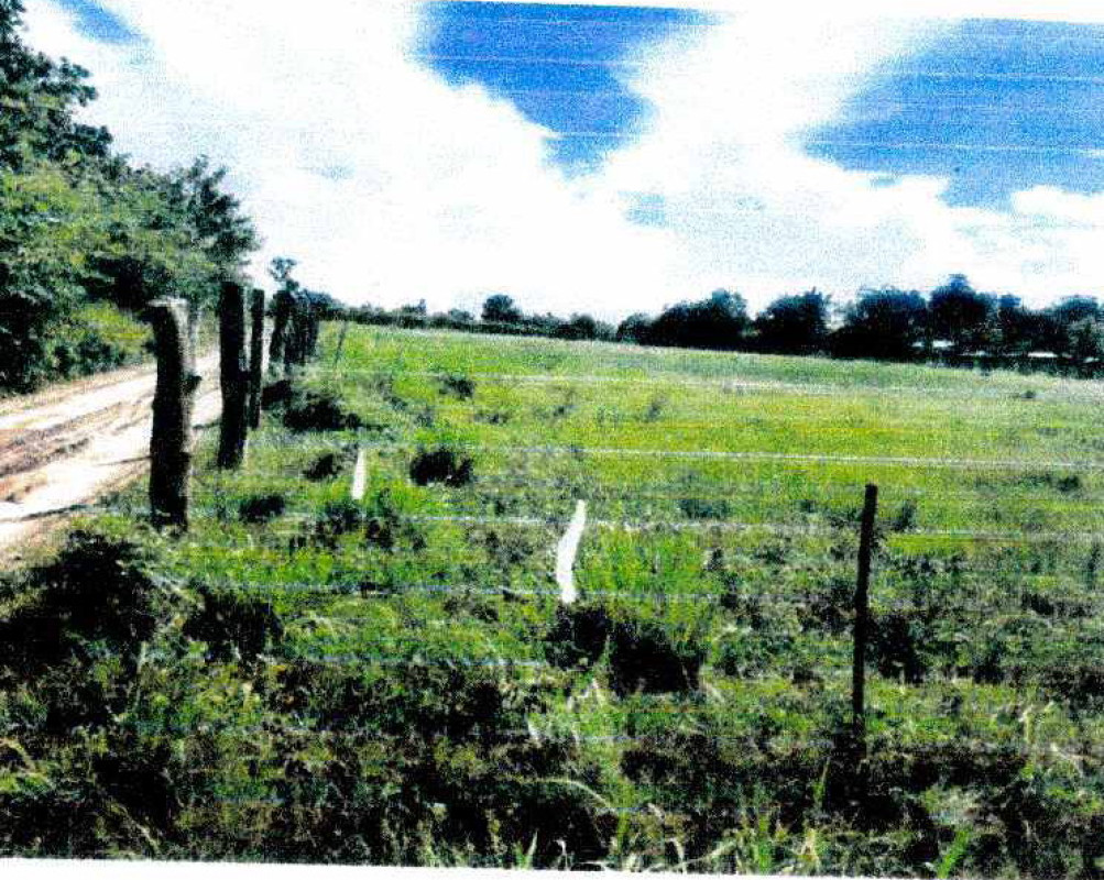 ที่ดินเปล่า หนองคาย ท่าบ่อ หนองนาง 524750