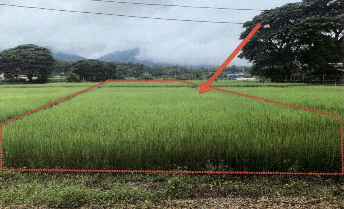 Residential land/lot Lampang Chae Hom Wichet Nakhon 151400