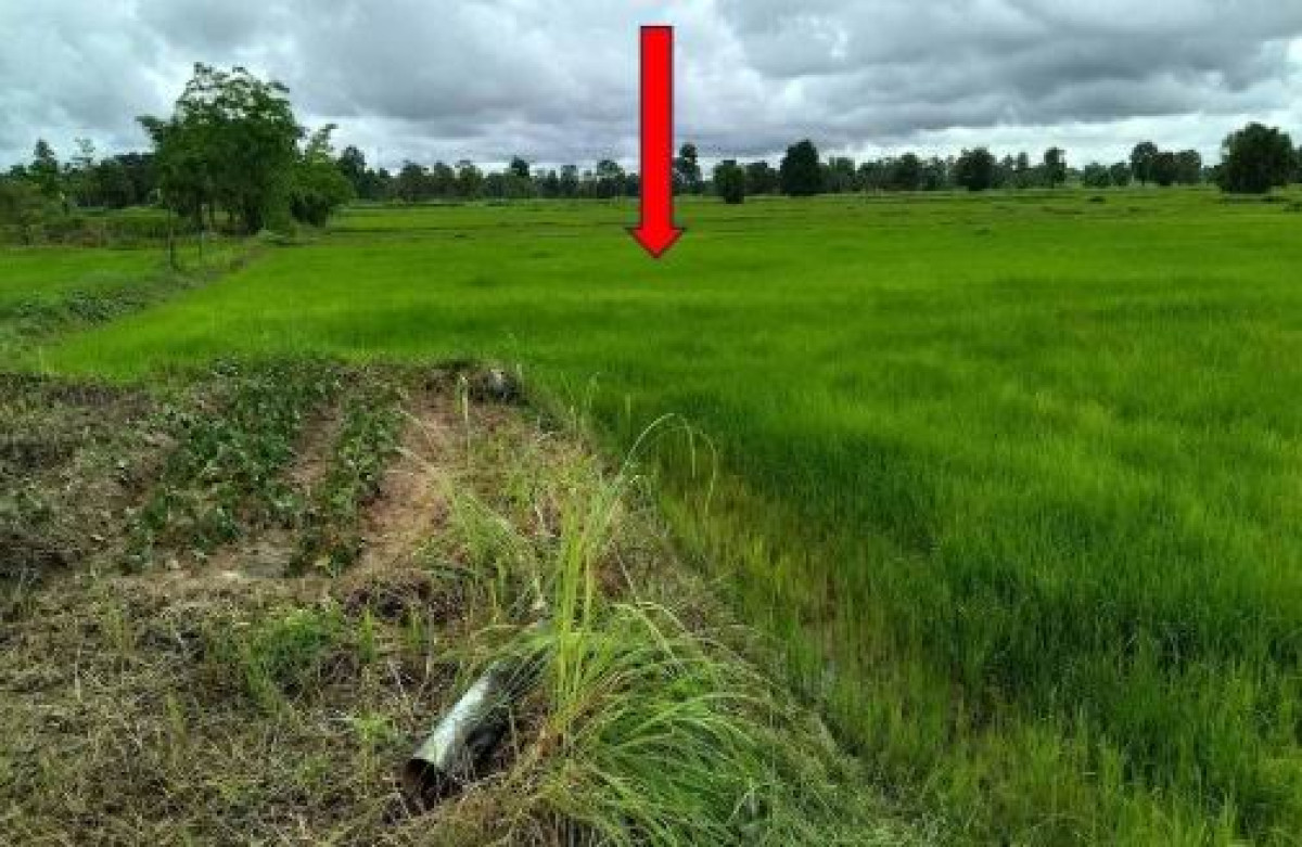 Residential land/lot Kalasin Somdet Pha Sawoei 919000