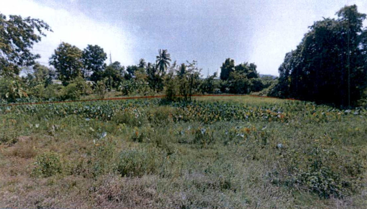 Residential land/lot Suphan Buri U Thong Phlapphla Chai 236250