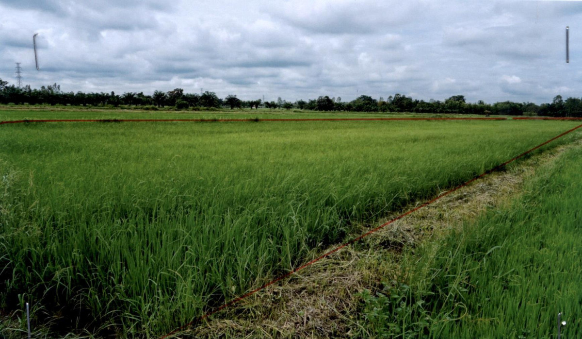 ที่ดินเปล่า กำแพงเพชร พรานกระต่าย เขาคีริส 360000