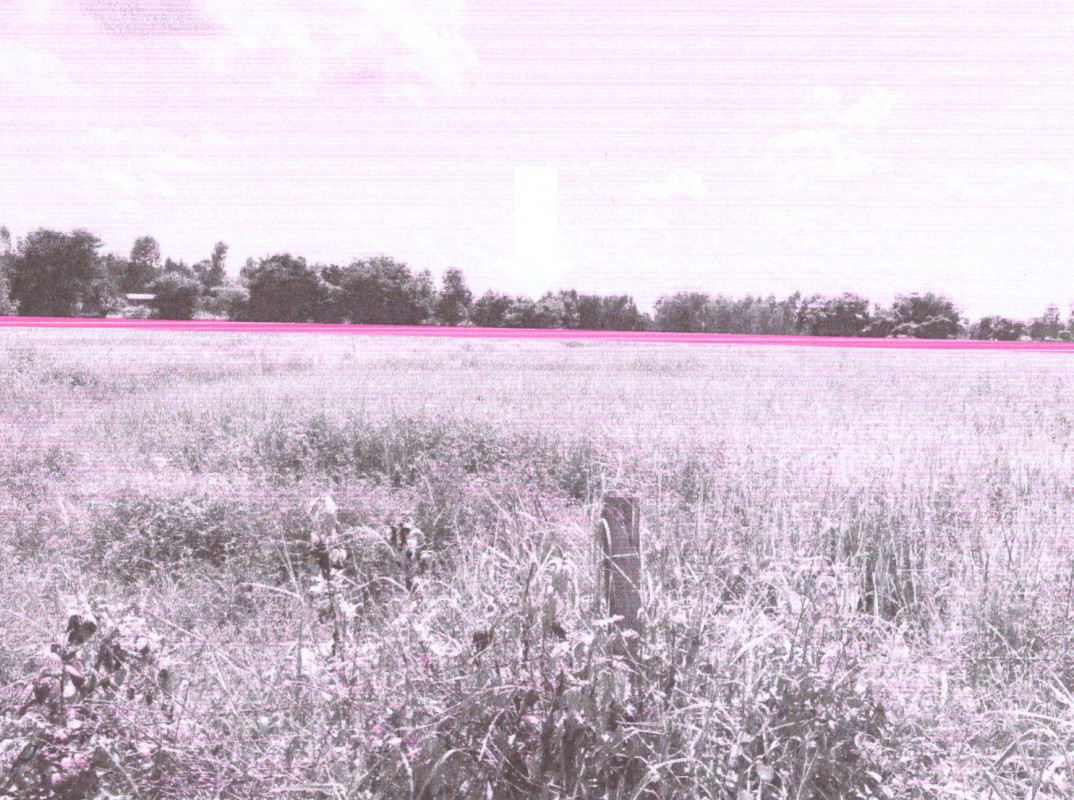 Residential land/lot Maha Sarakham Mueang Maha Sarakham Bua Kho 244000