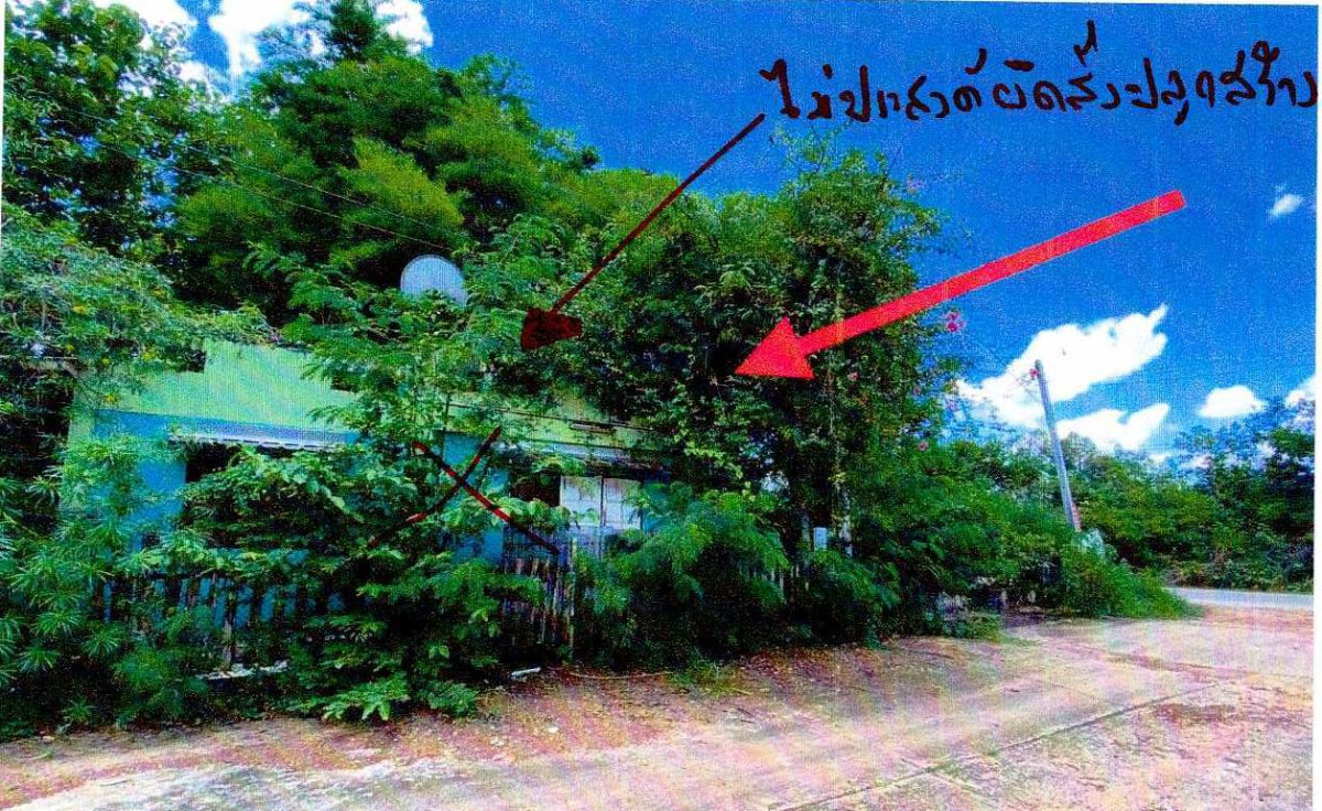 ที่ดินเปล่า หนองคาย เมืองหนองคาย โพธิ์ชัย 255600