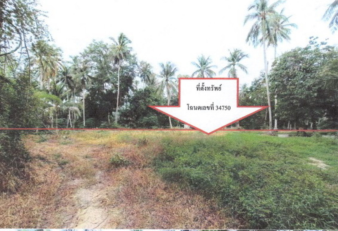 Residential land/lot Prachuap Khiri Khan Bang Saphan Thong Mongkhon 481470