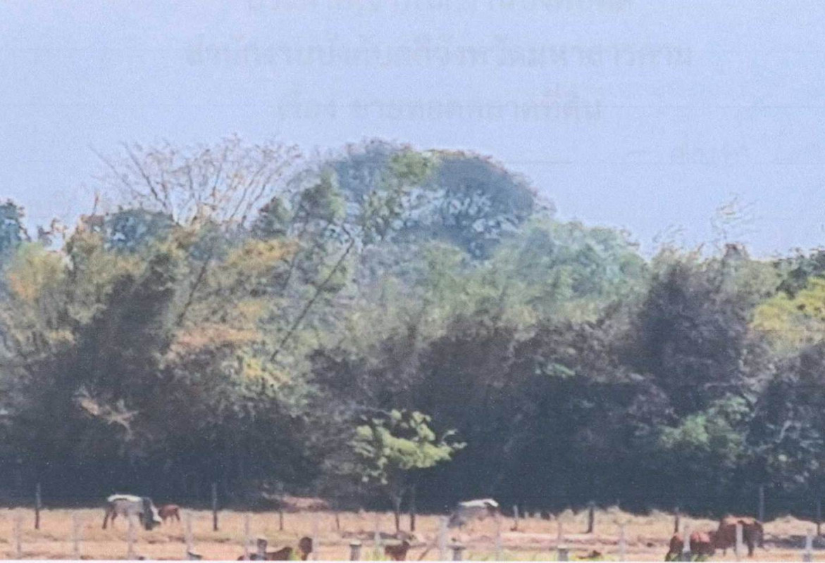 Residential land/lot Maha Sarakham Mueang Maha Sarakham Waeng Nang 573600