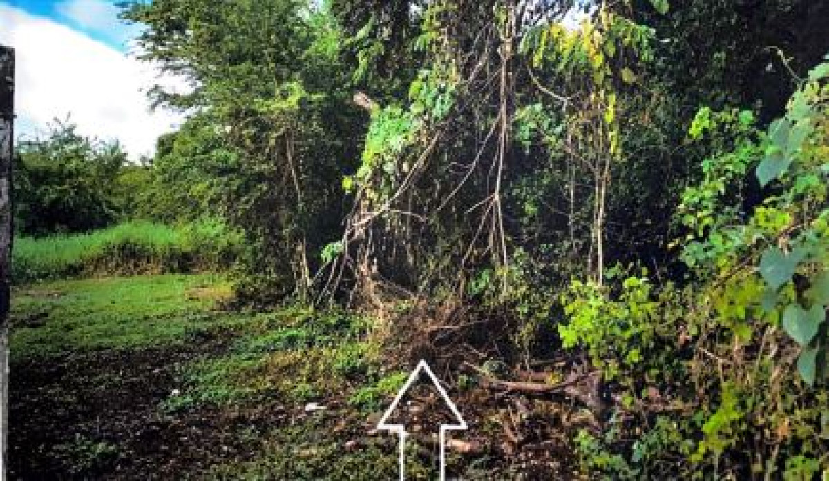 ที่ดินเปล่า อุดรธานี เมืองอุดรธานี หนองขอนกว้าง 5250000