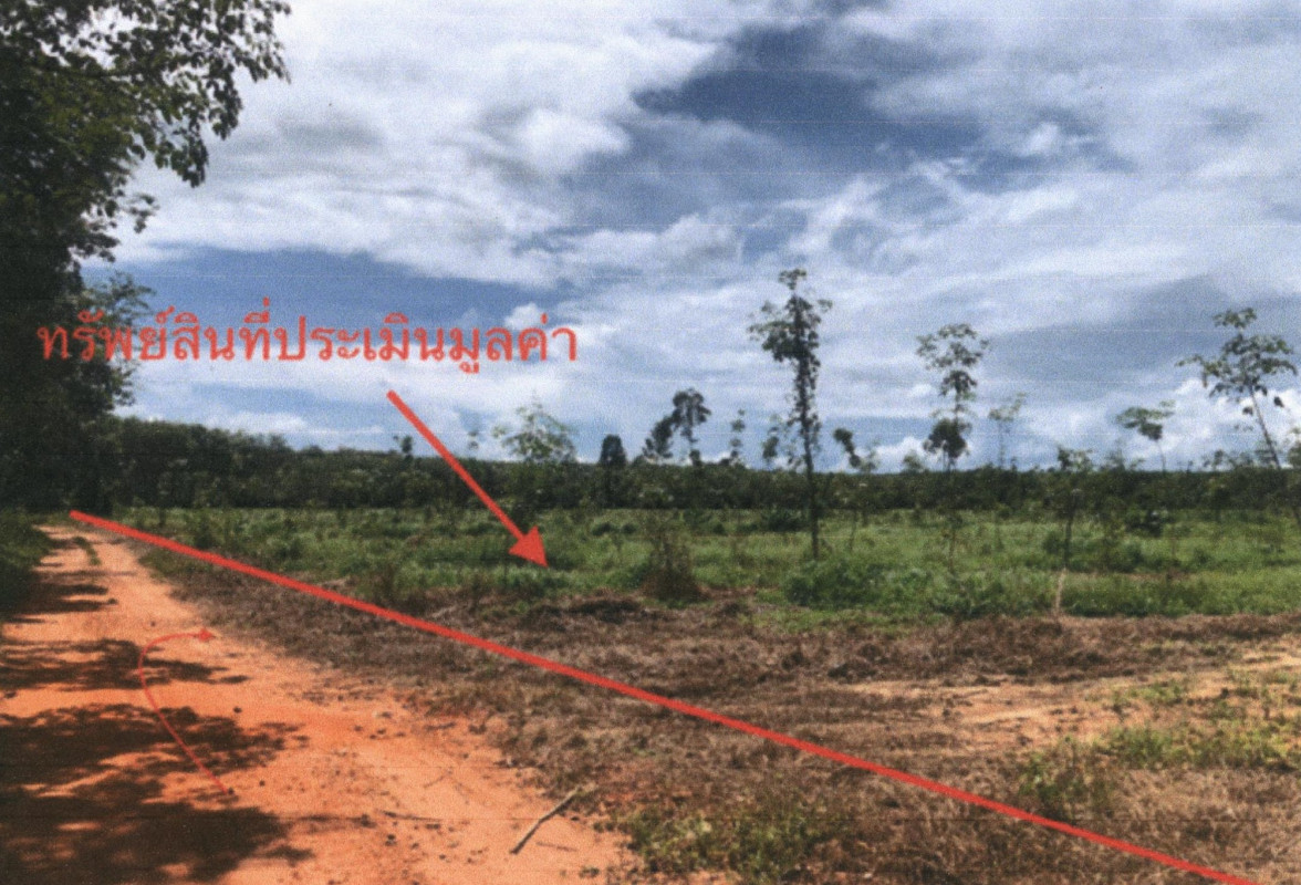 ที่ดินเปล่า สุราษฎร์ธานี ท่าฉาง คลองไทร 3697848