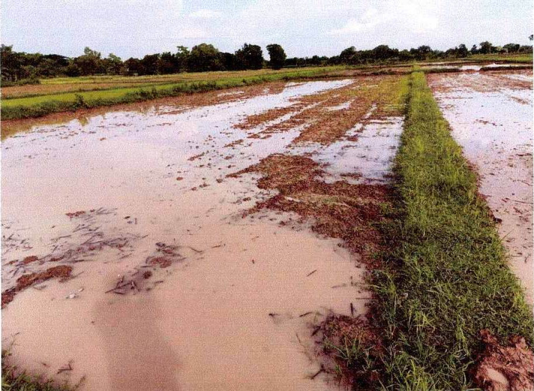 ที่ดินเปล่า หนองคาย เมืองหนองคาย กวนวัน 1057000