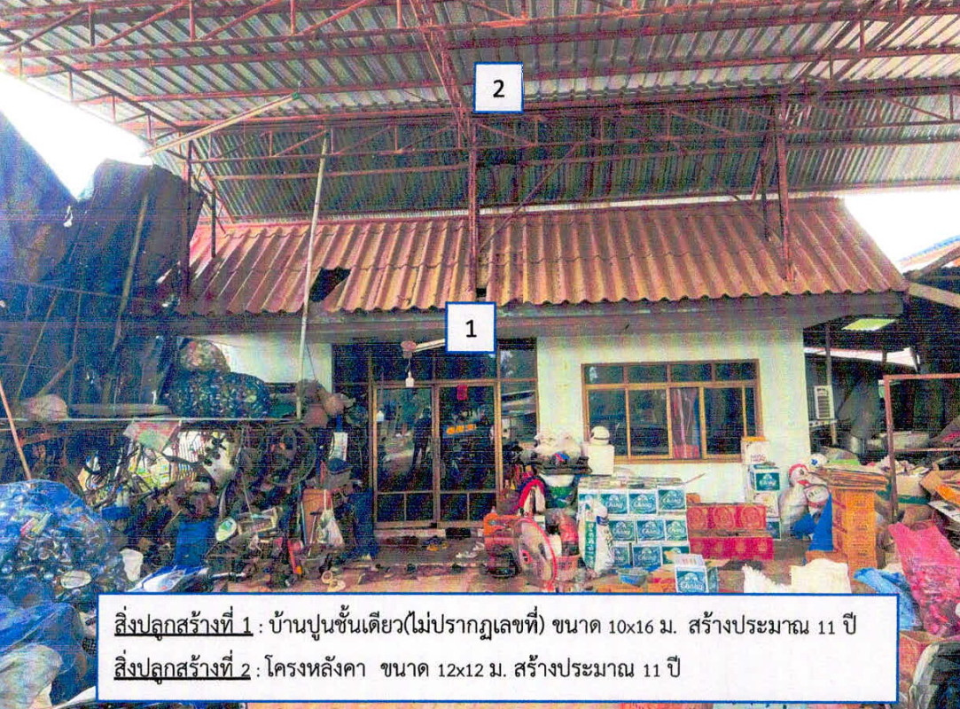 บ้านเดี่ยว ชัยภูมิ จัตุรัส หนองบัวโคก 1282680