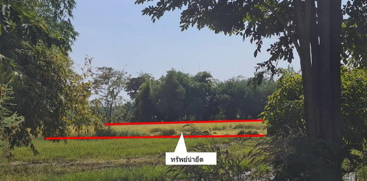 ที่ดินเปล่า เพชรบูรณ์ ชนแดน ดงขุย 480000
