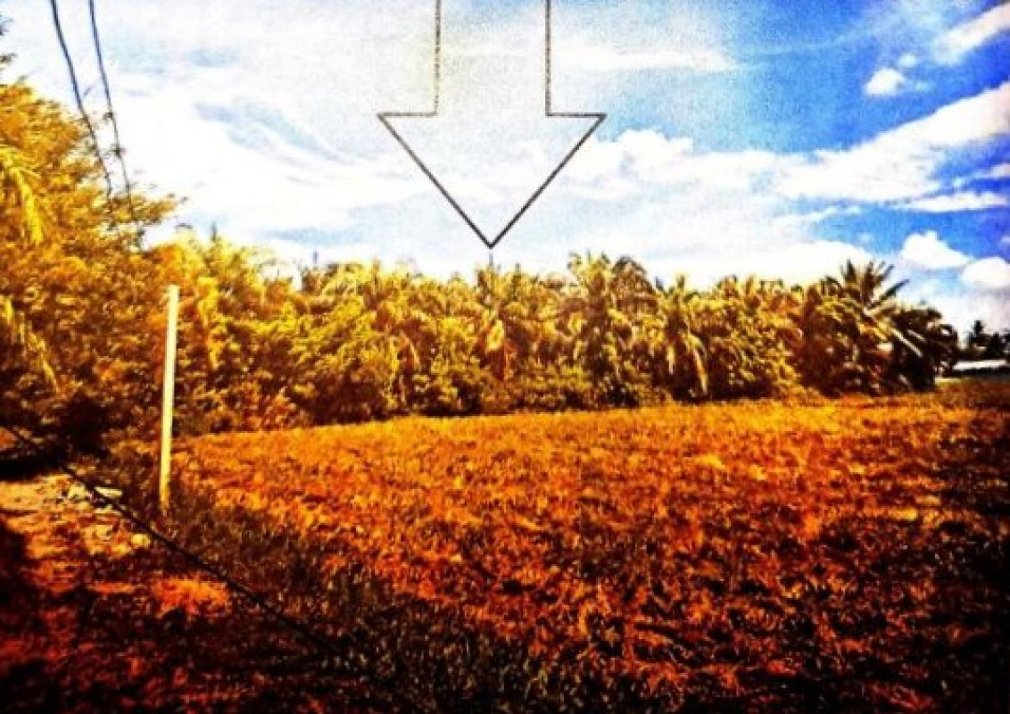 Residential land/lot Nakhon Si Thammarat Mueang Nakhon Si Thammarat Tha Sak 1606000