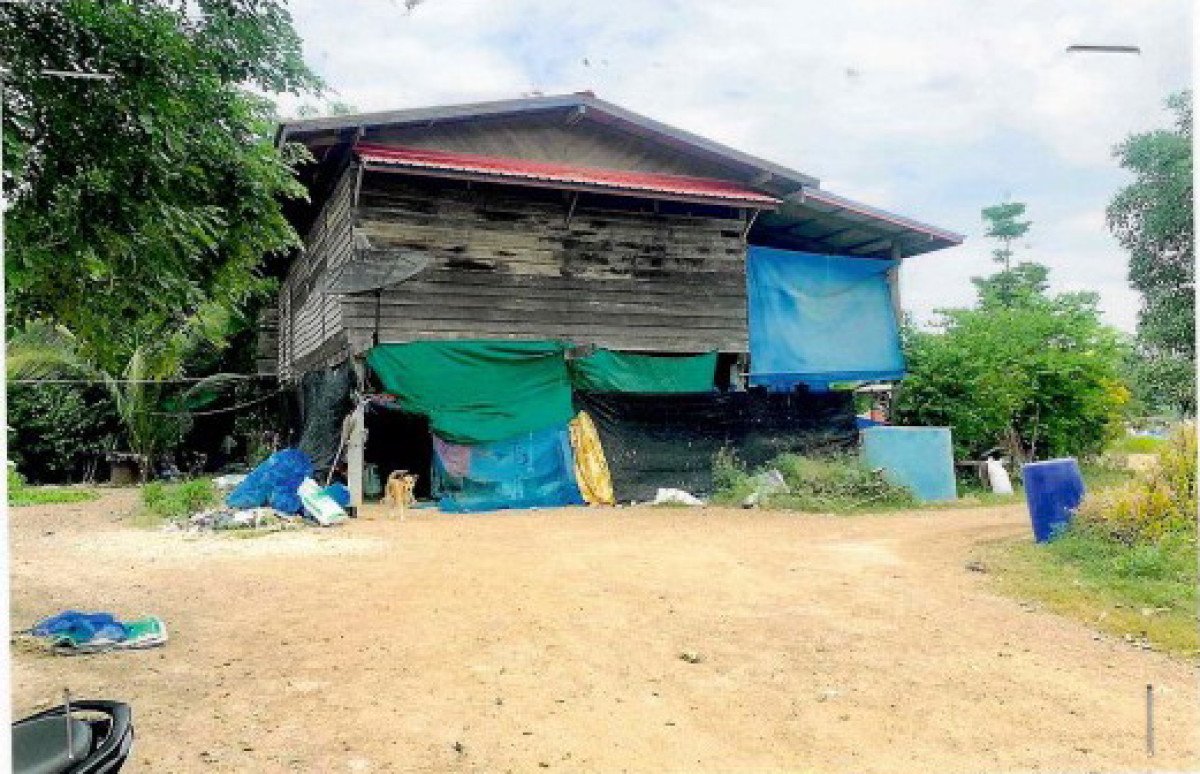 บ้านเดี่ยว กำแพงเพชร พรานกระต่าย ห้วยยั้ง 557180