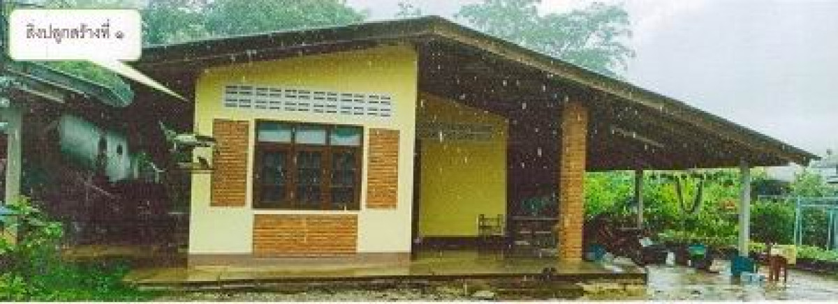 บ้านเดี่ยว ตรัง ปะเหลียน ท่าข้าม 1129212