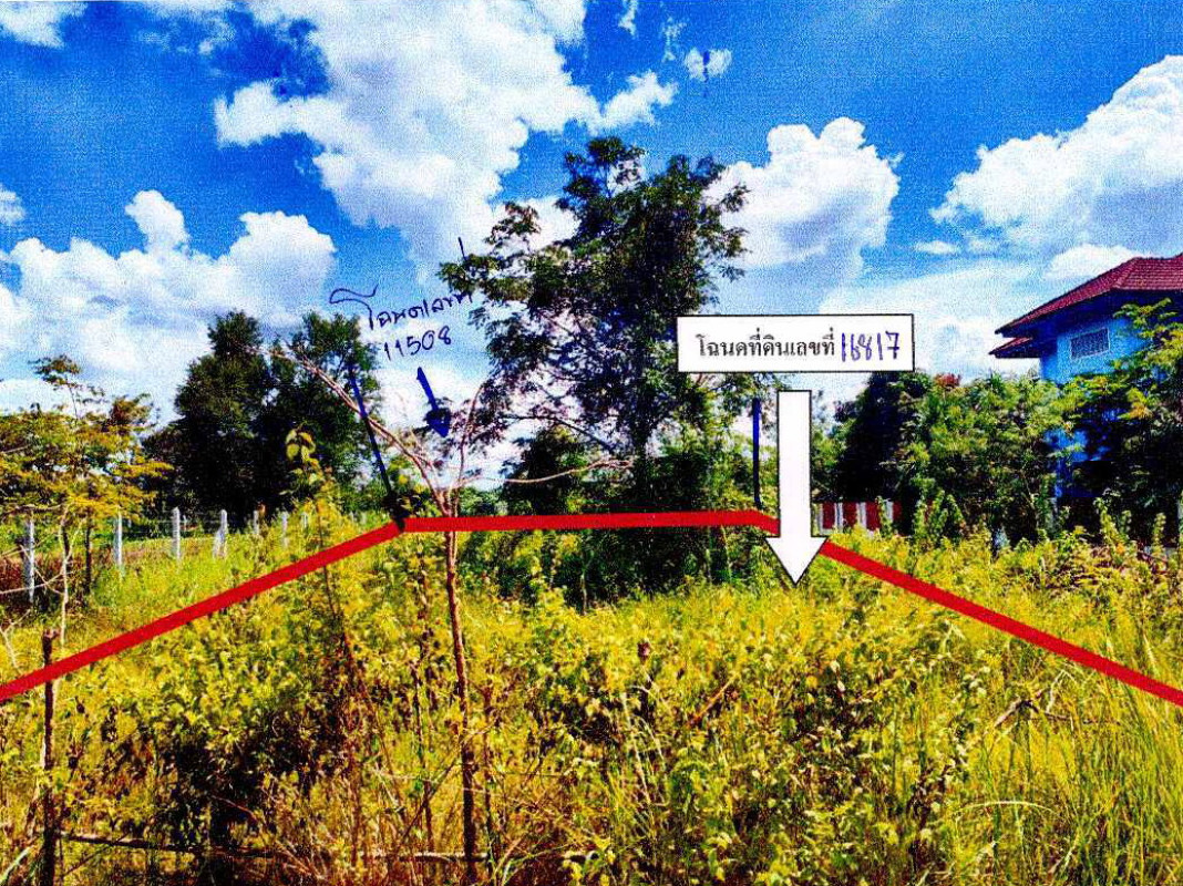ที่ดินเปล่า หนองคาย ท่าบ่อ นาข่า 139890